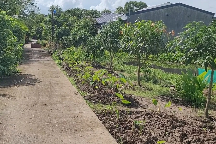 Cái bồn kỳ lạ ở Cà Mau 2.jpg