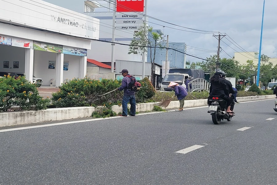 cây xanh ở Cà Mau 1.jpg