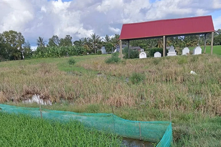 Bản án phóng khoáng 1.jpg