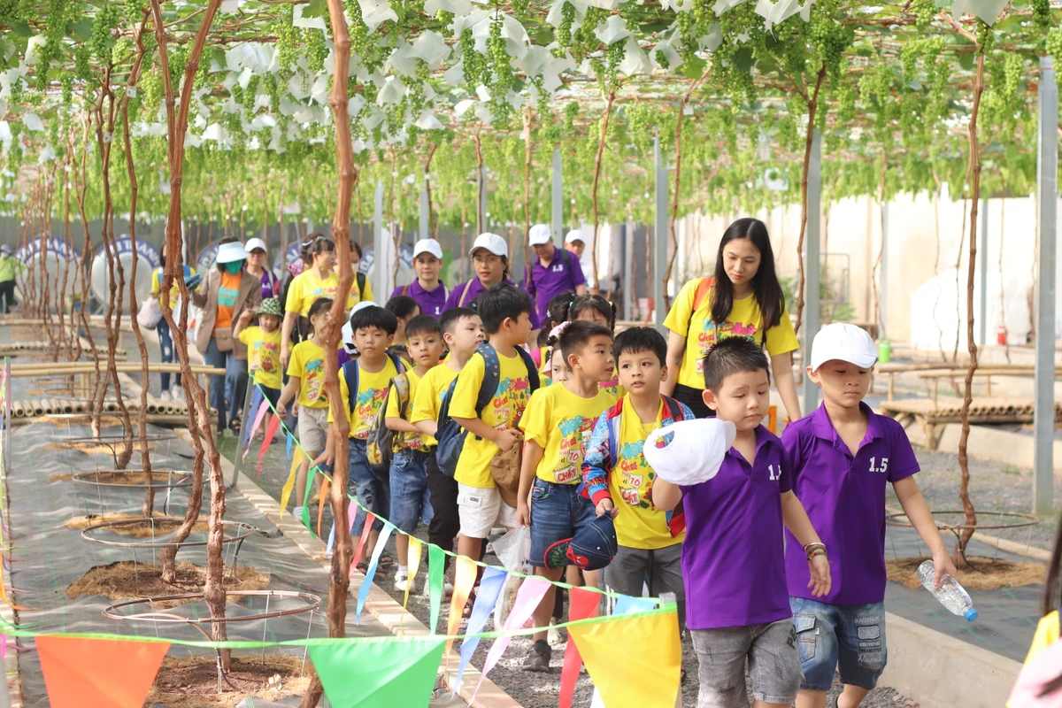 Đoàn khách thiếu nhi tham quan mô hình du lịch xanh, trải nghiệm trồng và hái nho tại Suối Tiên Farm. Ảnh: THU TRINH. tet-duong-lich-12-7482.jpg