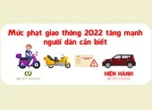 Việt Trinh và những gương mặt nghệ sĩ đình đám giải nghệ, tạm dừng hoạt động ảnh 7 Mức phạt giao thông 2022 tăng mạnh người dân cần biết