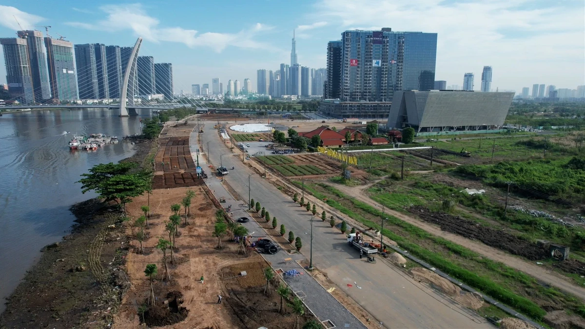 Hàng ngàn cây hoa hướng dương đã được trồng và sẽ đón khách vào dịp Tết Dương lịch 2024. công viên bờ sông Sài Gòn