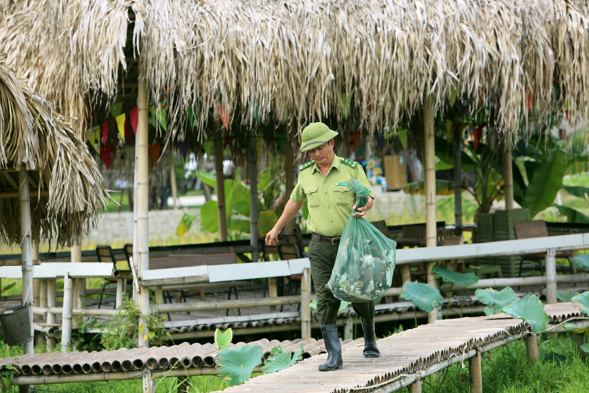 Số lượng cò lực lượng kiểm lâm thu được từ nhà người dân sẽ thả về tự nhiên trên núi Trường Lệ, TP Sầm Sơn. Ảnh: ĐẶNG TRUNG