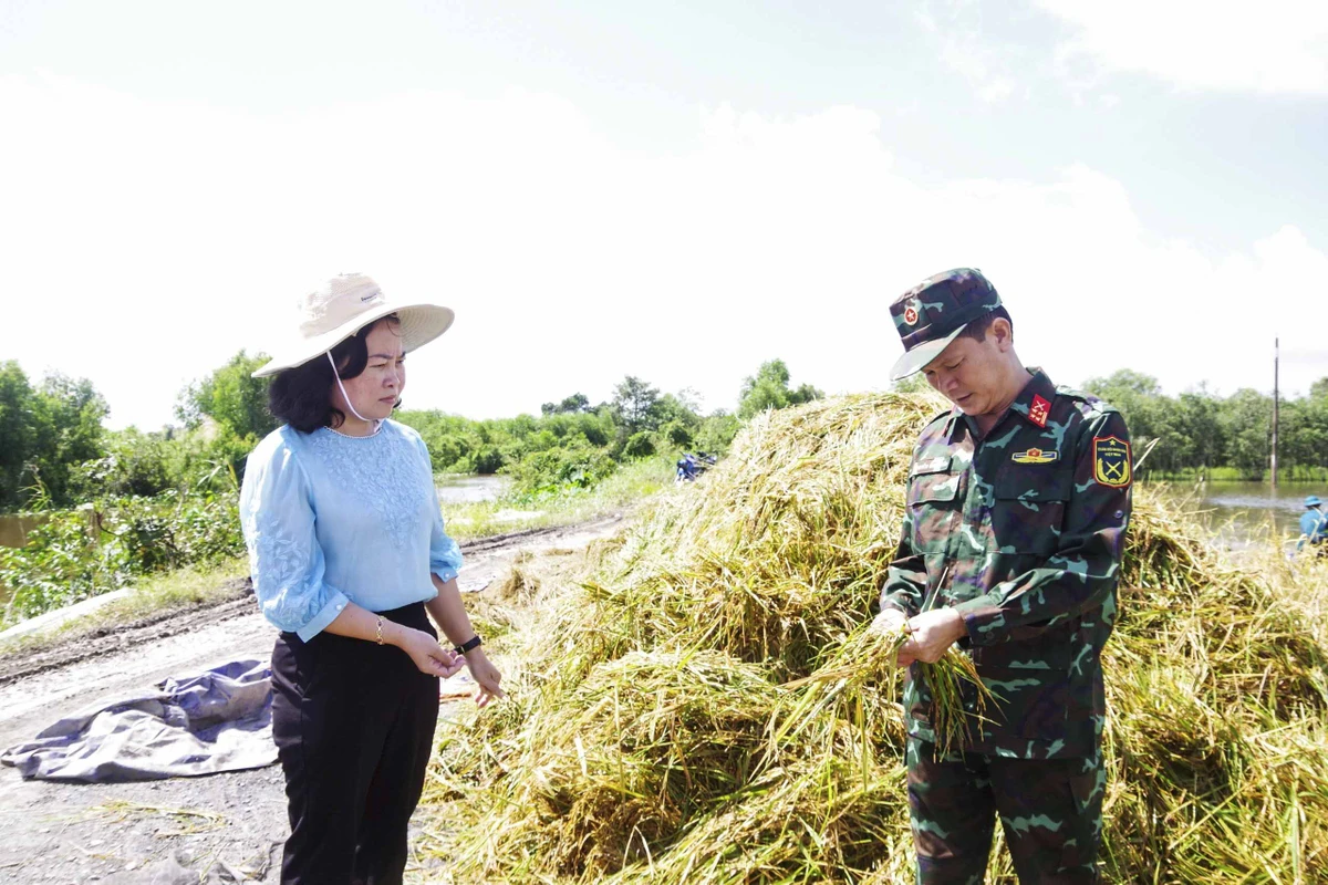 Đại tá Nguyễn Minh Tấn, Phó Chính ủy Bộ CHQS tỉnh, và bà Nguyễn Thị Thu Trinh, Bí thư Huyện ủy Thạnh Hóa, đến động viên cán bộ, chiến sĩ dân quân hỗ trợ người dân gặt lúa.