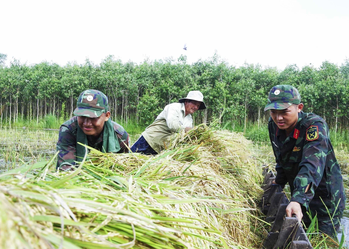 Người dân cùng các chiến sĩ đưa xuồng lúa vào bờ.