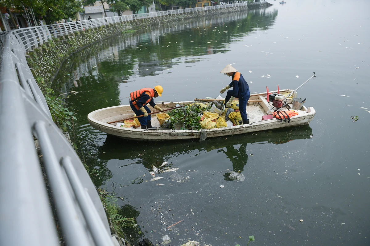 Số lượng cá chết quá nhiều, công ty phải tăng cường nhiều thuyền, công nhân công nhân để xử lí. ảnh 9 ca-chet-ho-tay (5).JPG