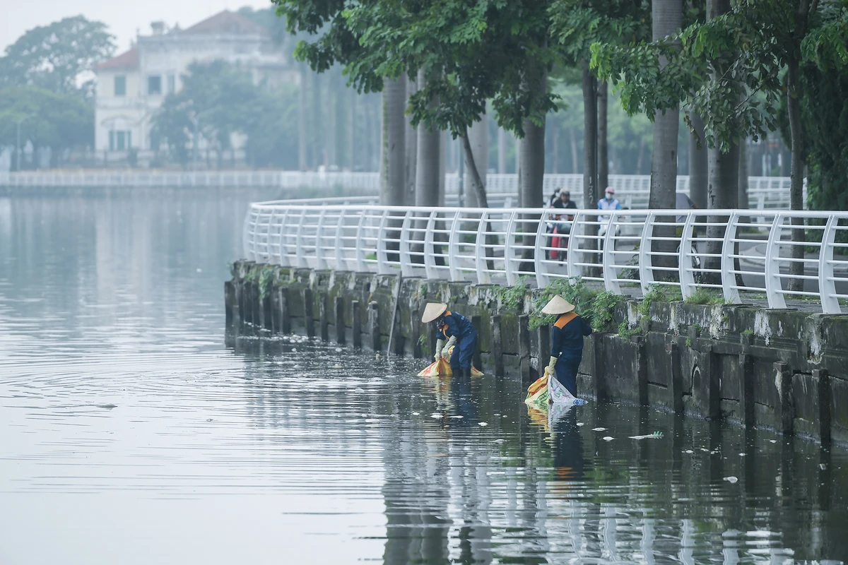 Tại những khu vực xảy ra tình trạng cá chết, nước hồ Tây có màu xanh đậm, xuất hiện các lớp màng và váng nổi lên trên mặt nước. Nhiều xác cá bắt đầu phân hủy, bốc mùi hôi khó chịu. ảnh 3 ca-chet-ho-tay (8).JPG