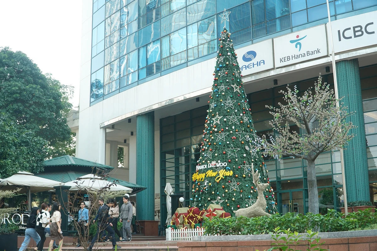 Cận cảnh những cây thông noel 'khổng lồ' ở Hà Nội phục vụ dịp Giáng sinh 2023