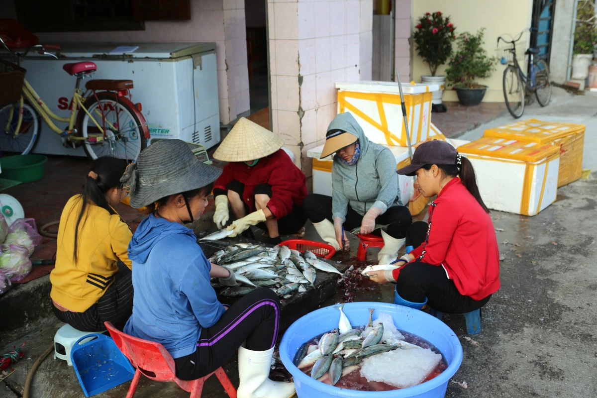 Cận cảnh làng biển có mật độ dân số cao nhất Việt Nam - 7