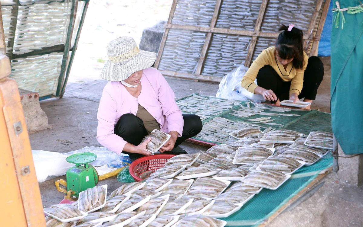 Trong khi thanh niên trai tráng đi biển thì phụ nữ của làng biển ở nhà sơ chế hải sản, làm công tác hậu cần nghề biển...