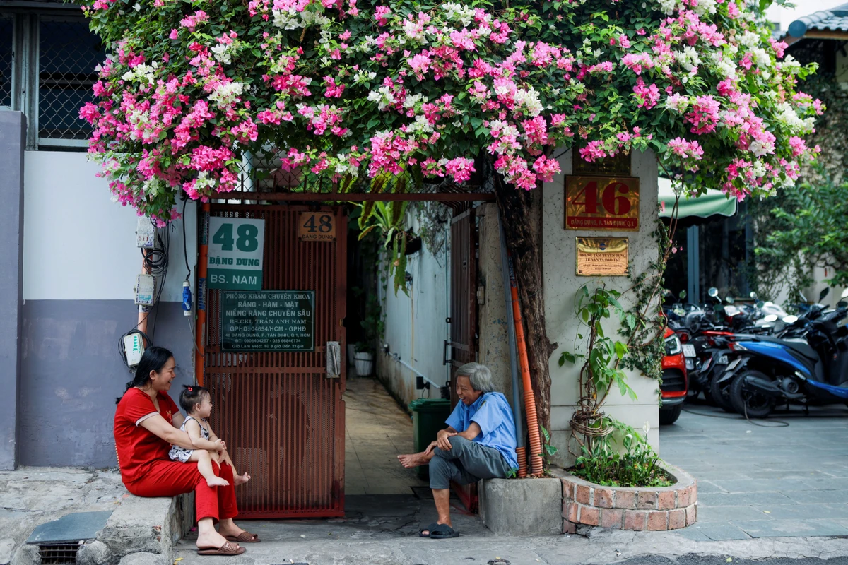 Mùa hoa giấy Sài Gòn