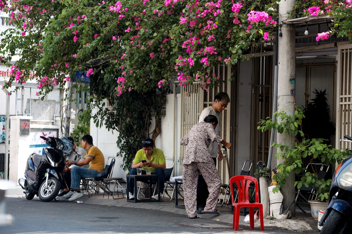 Mùa hoa giấy Sài Gòn