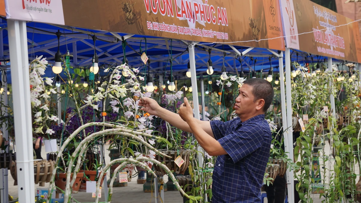 Chậu lan khổng lồ 'con Lạc - cháu Hồng' ở đền Hùng, phải cắt cử bảo vệ đứng canh 6.JPG