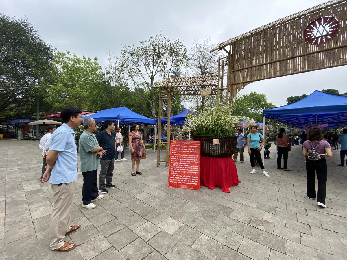 Chậu lan khổng lồ 'con Lạc - cháu Hồng' ở đền Hùng, phải cắt cử bảo vệ đứng canh.jpg