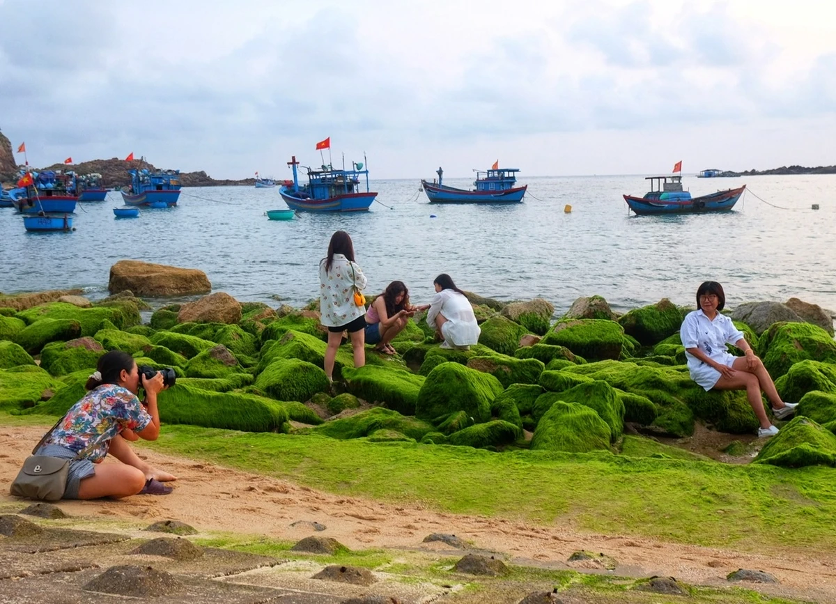 Bãi Rêu Nhơn Hải