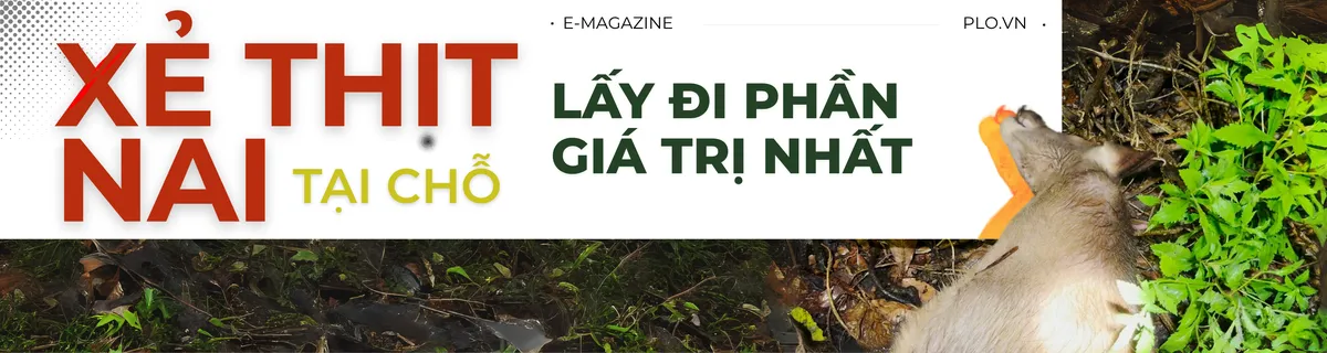 cánh thợ săn