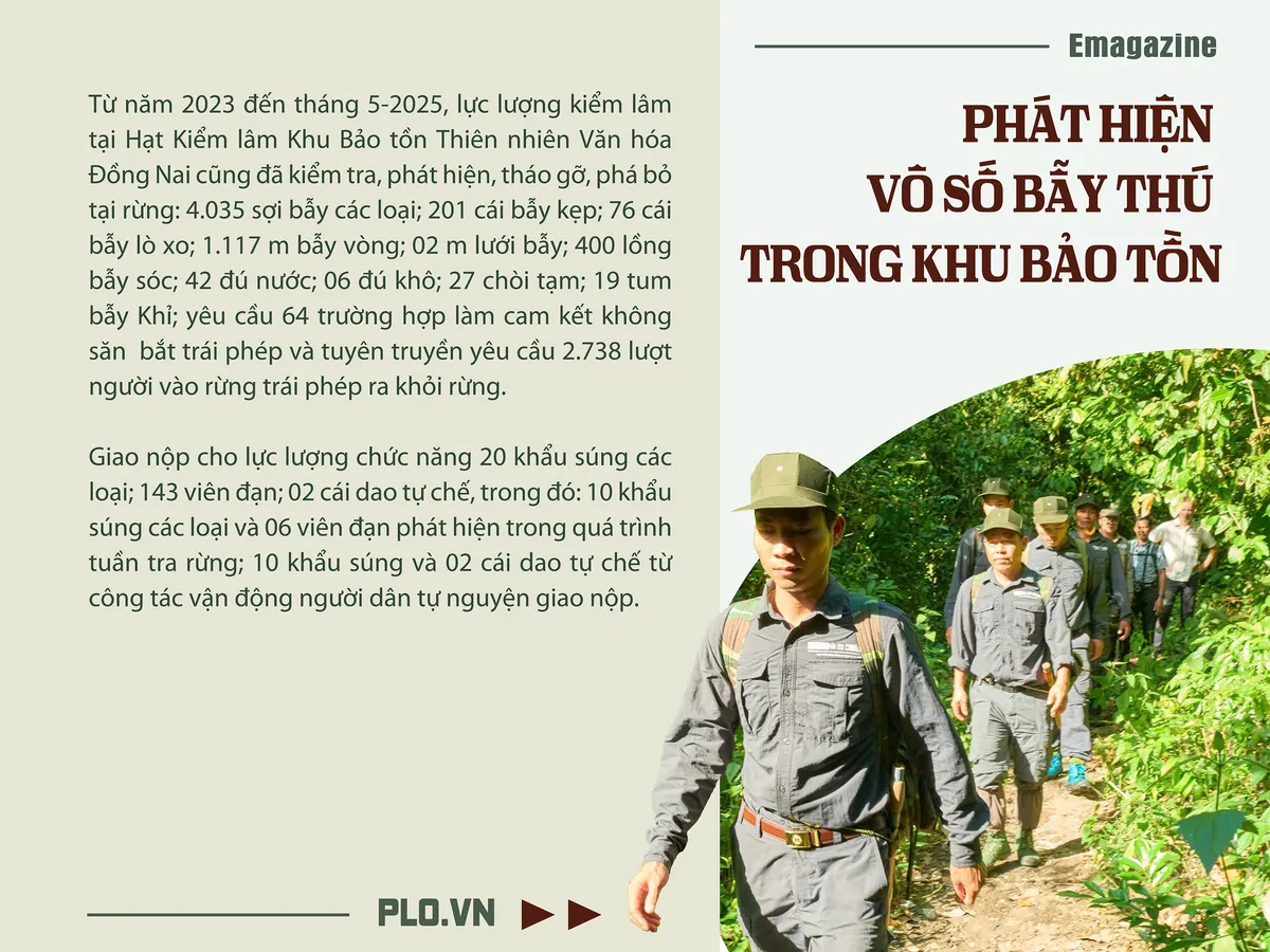 cánh thợ săn