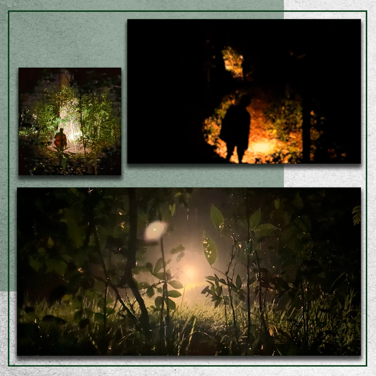 cảnh thợ rừng 2.png