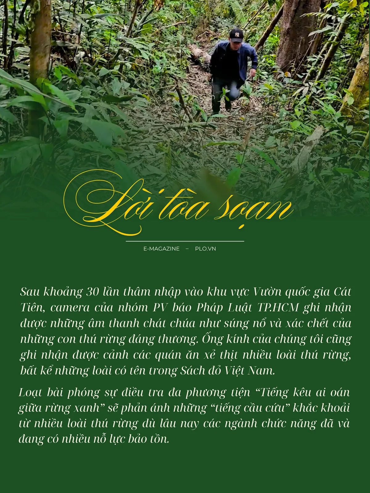 Điều tra: Chạm mặt cánh thợ săn, thú rừng Vườn quốc gia Cát Tiên trúng đạn và bị xẻ thịt