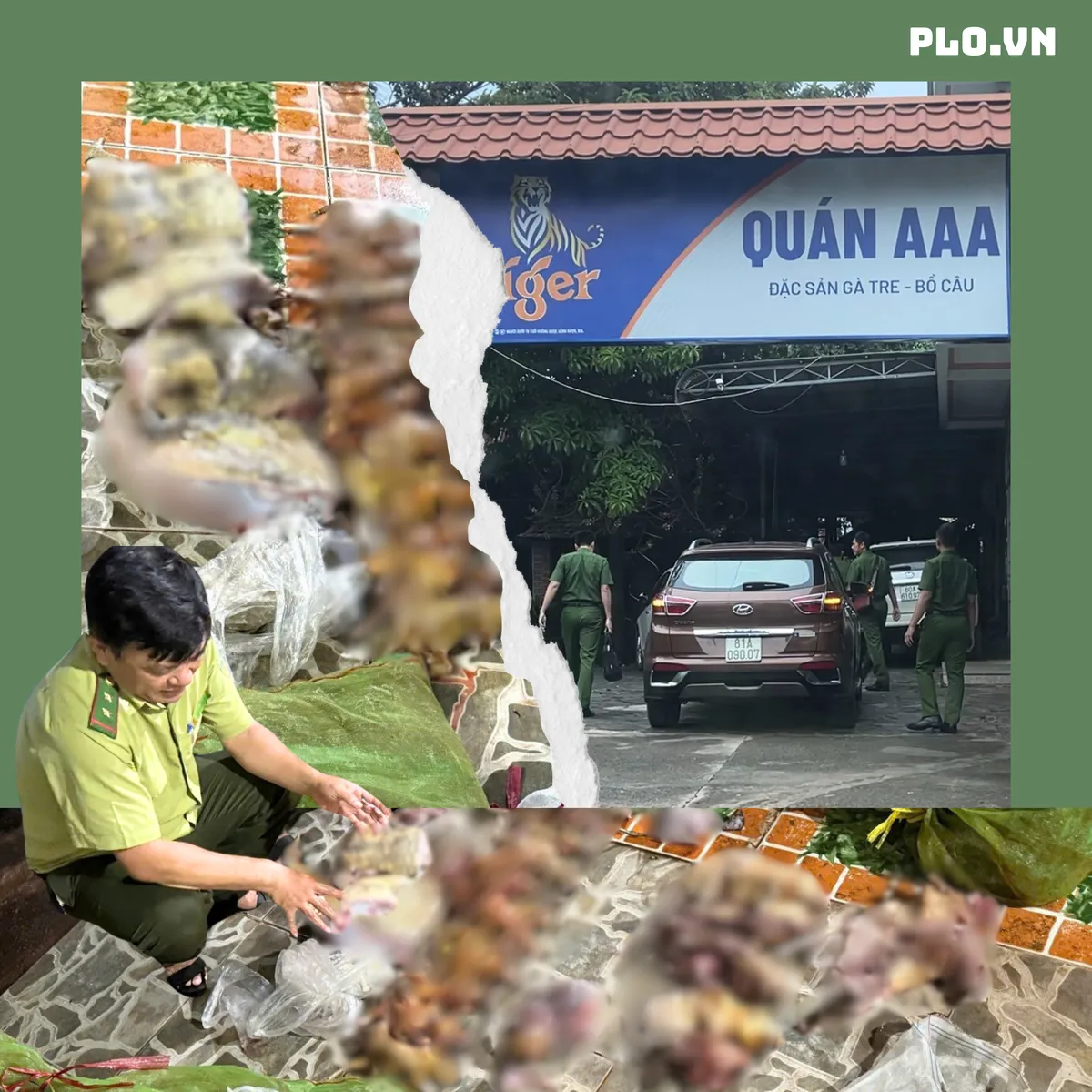 Sách đỏ Việt Nam