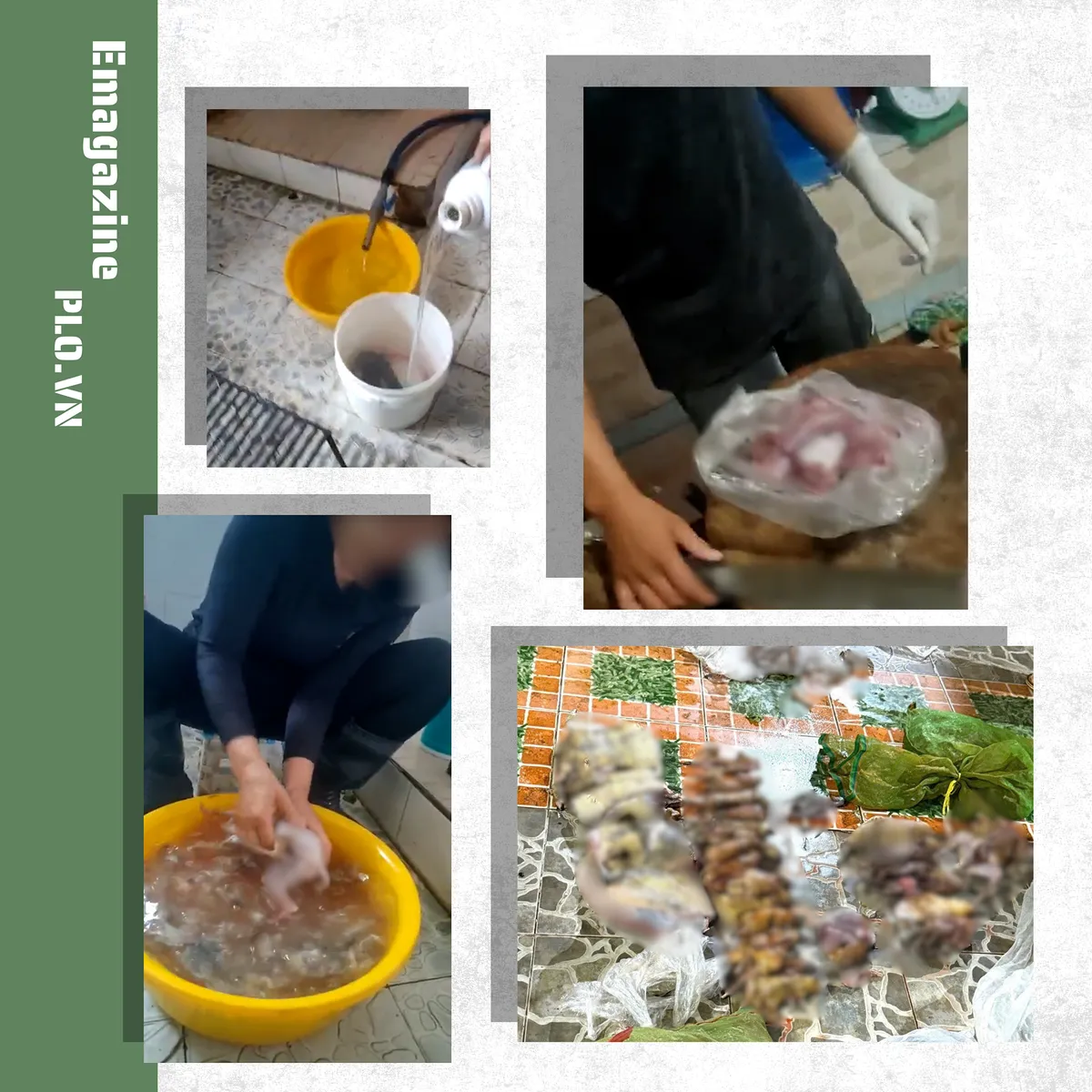 Sách đỏ Việt Nam