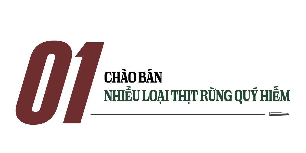 Sách đỏ Việt Nam