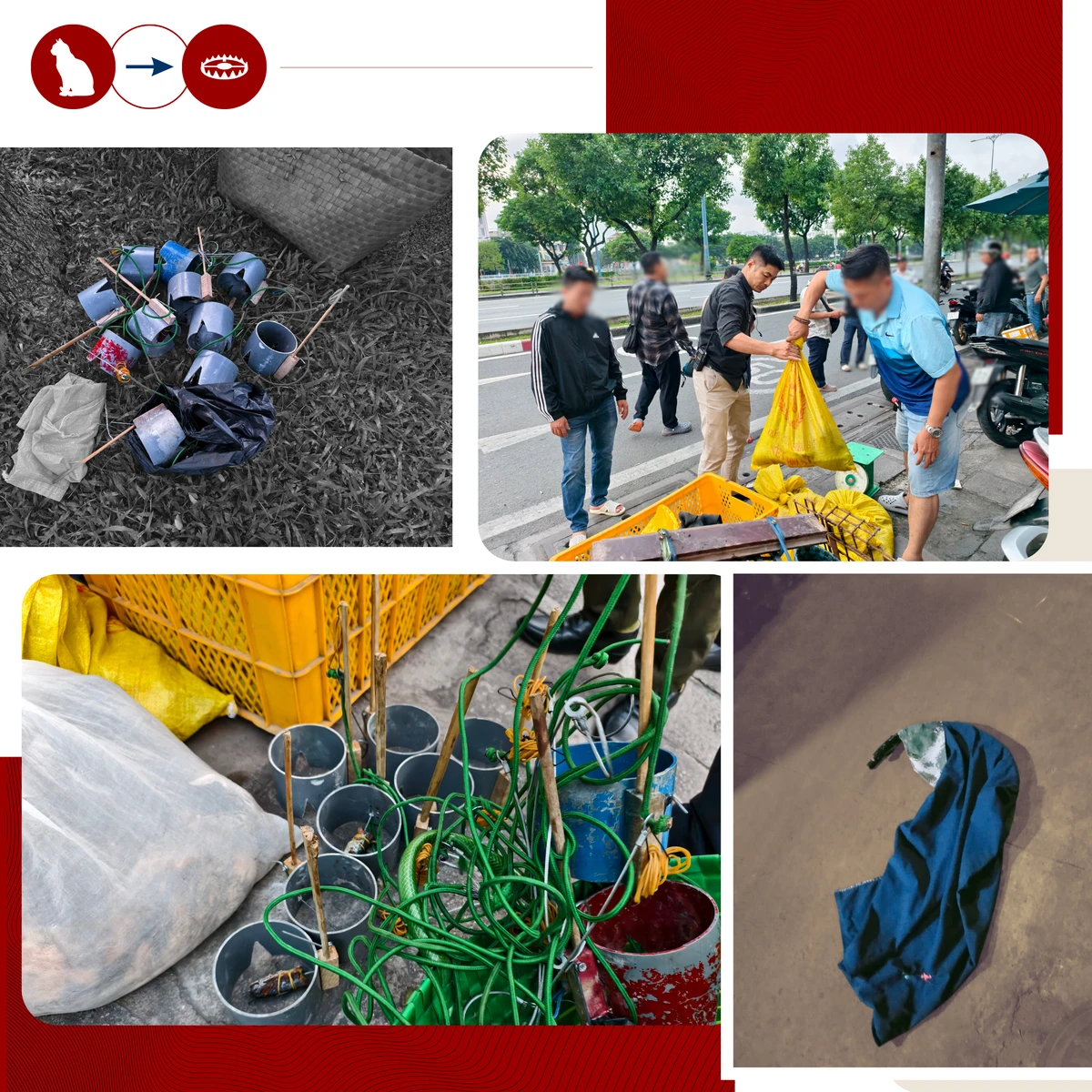 ẢNH GHÉP 11 - Cận cảnh tang vật, các các dạng bẫy bị thu giữ, hình ảnh các đối tượng.png