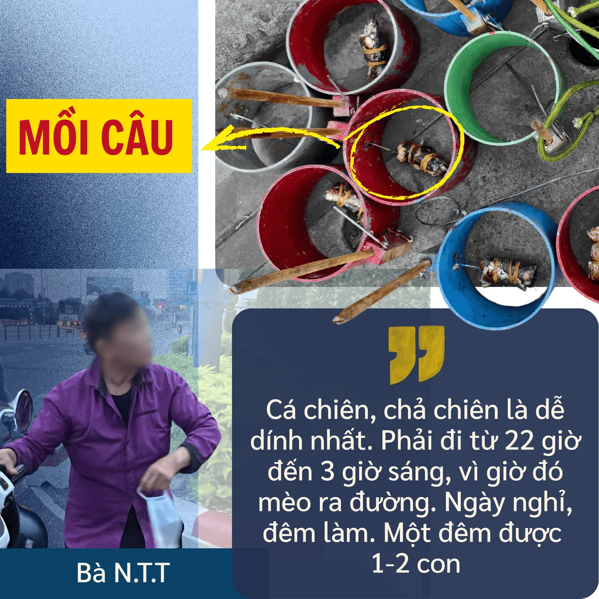 ẢNH GHÉP 12- GHÉP THÀNH 1 CỤM ẢNH CHÂN DUNG BÀ N.T.T + BẪY MÈO CÓ THỨC ĂN+ TRÍCH DẪN.png