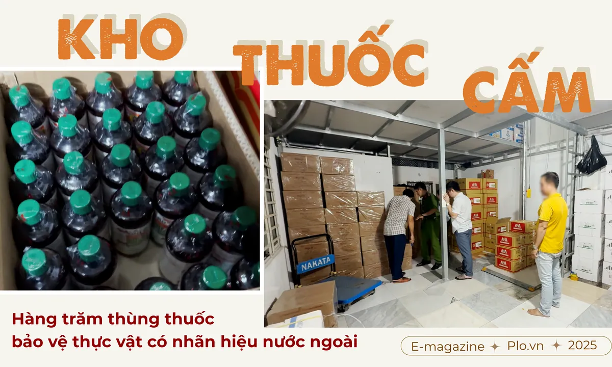 GHÉP CỤM HÌNH 3.png