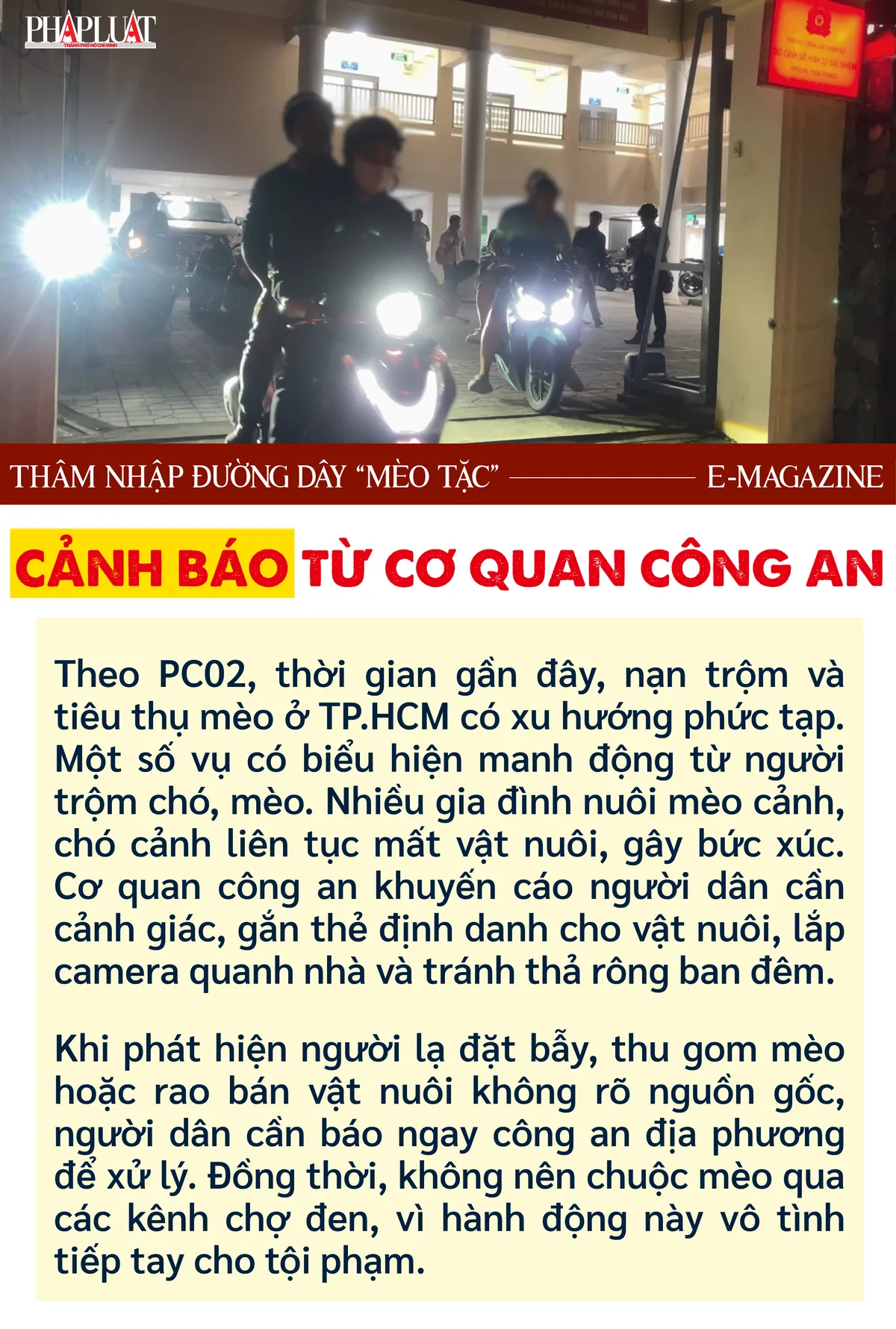mèo tặc (2).png