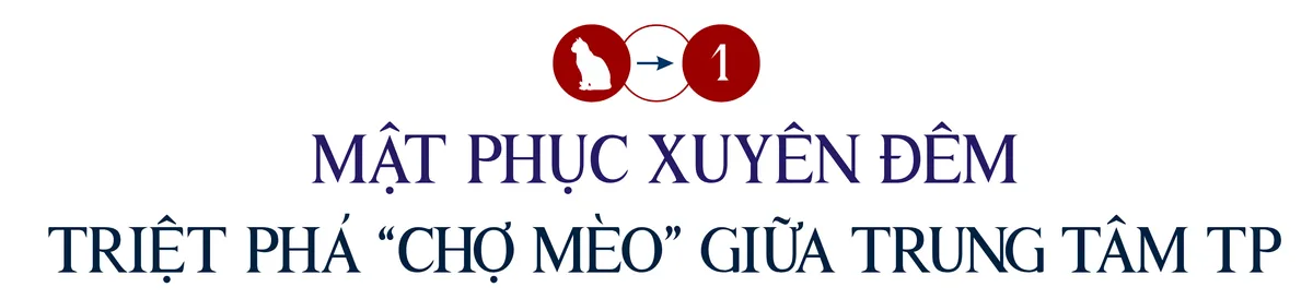mèo tặc (4).png