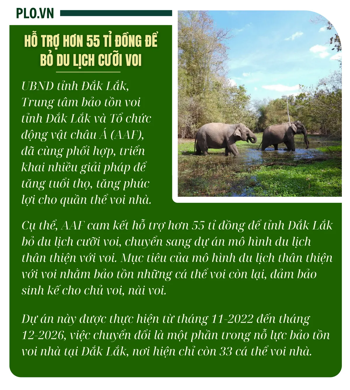 BOX_ Hỗ trợ hơn 55 tỉ đồng để bỏ du lịch cưỡi voi.png