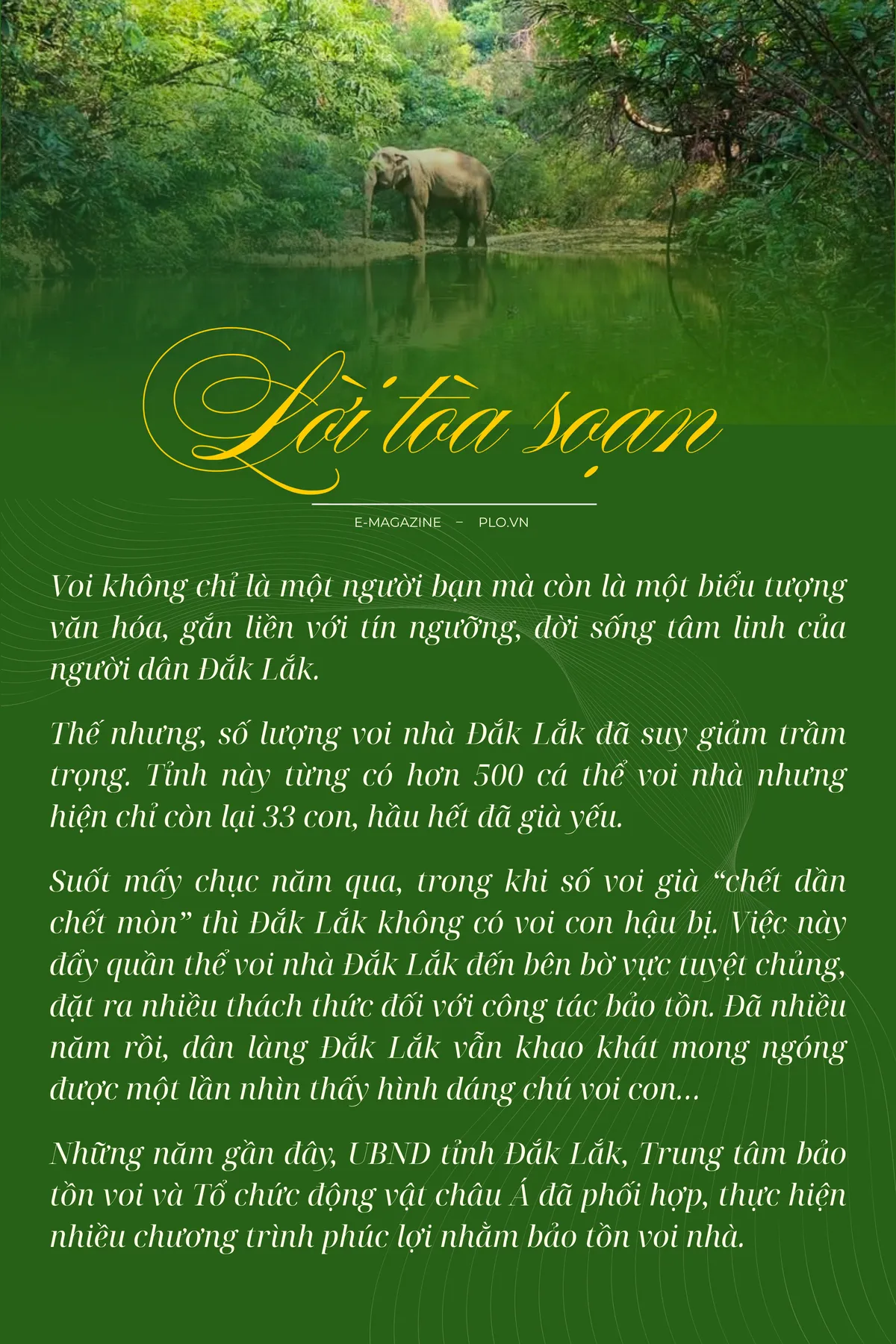 loi-toa-soan.png