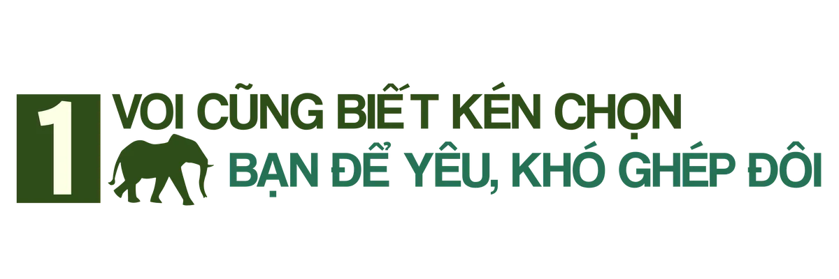 TRUNG ĐỀ 1.png