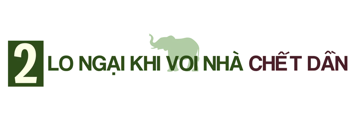 TRUNG ĐỀ 2.png