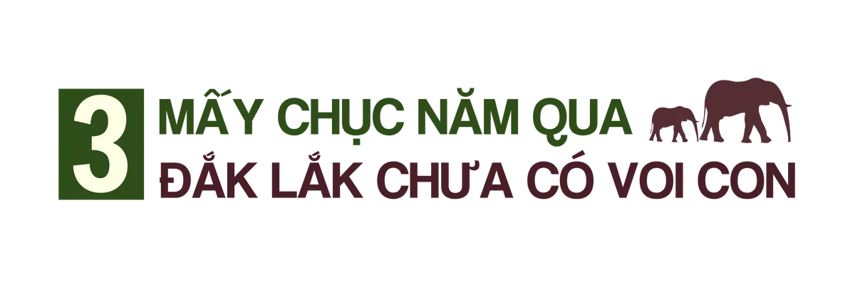 TRUNG ĐỀ 3.png