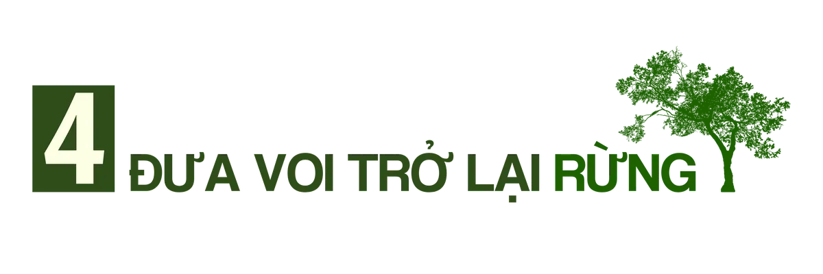 TRUNG ĐỀ 4.png