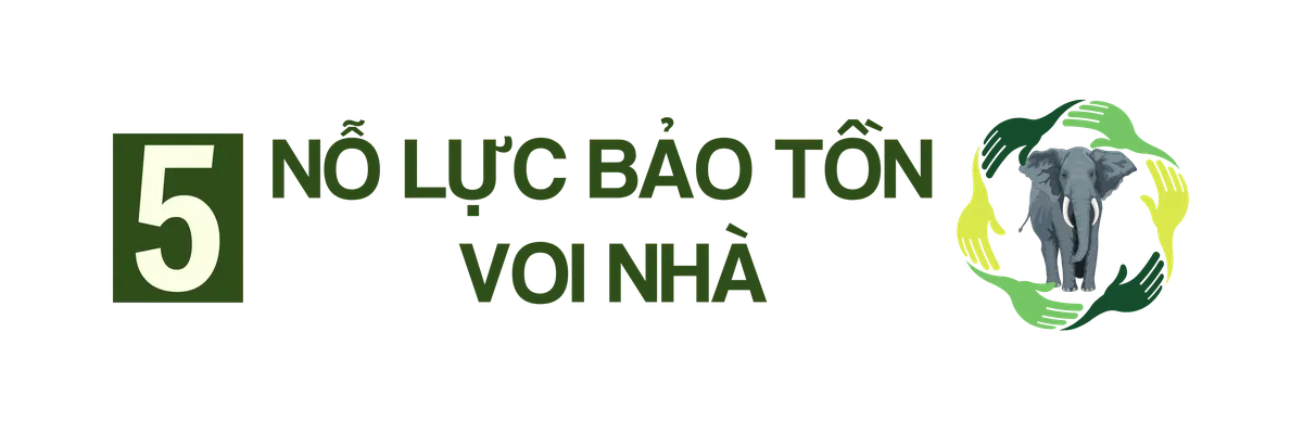 TRUNG ĐỀ 5.png