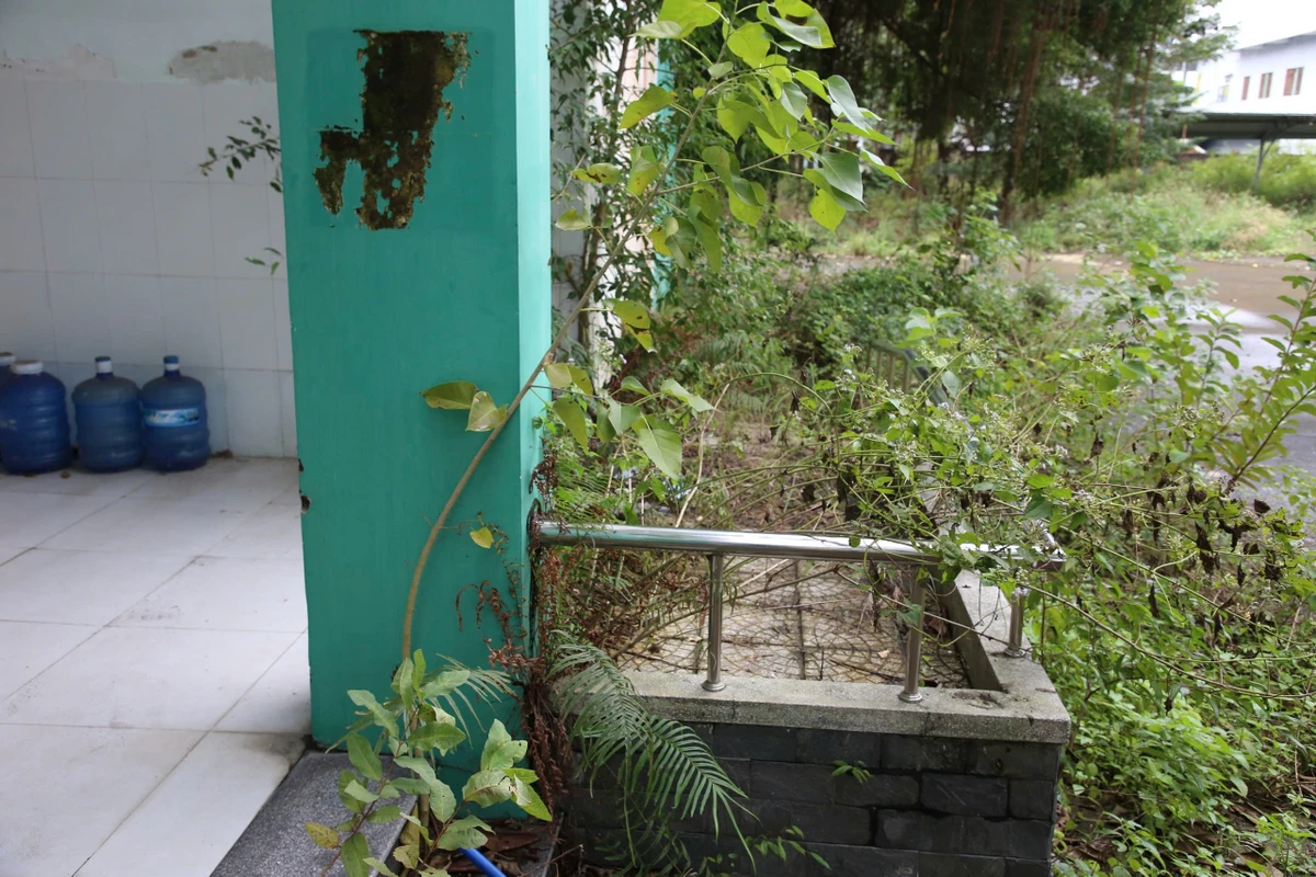 phong-kham-da-khoa-kcn-dien-nam-dien-ngoc-44-ti-hoa-benh-vien-ma-11.jpeg