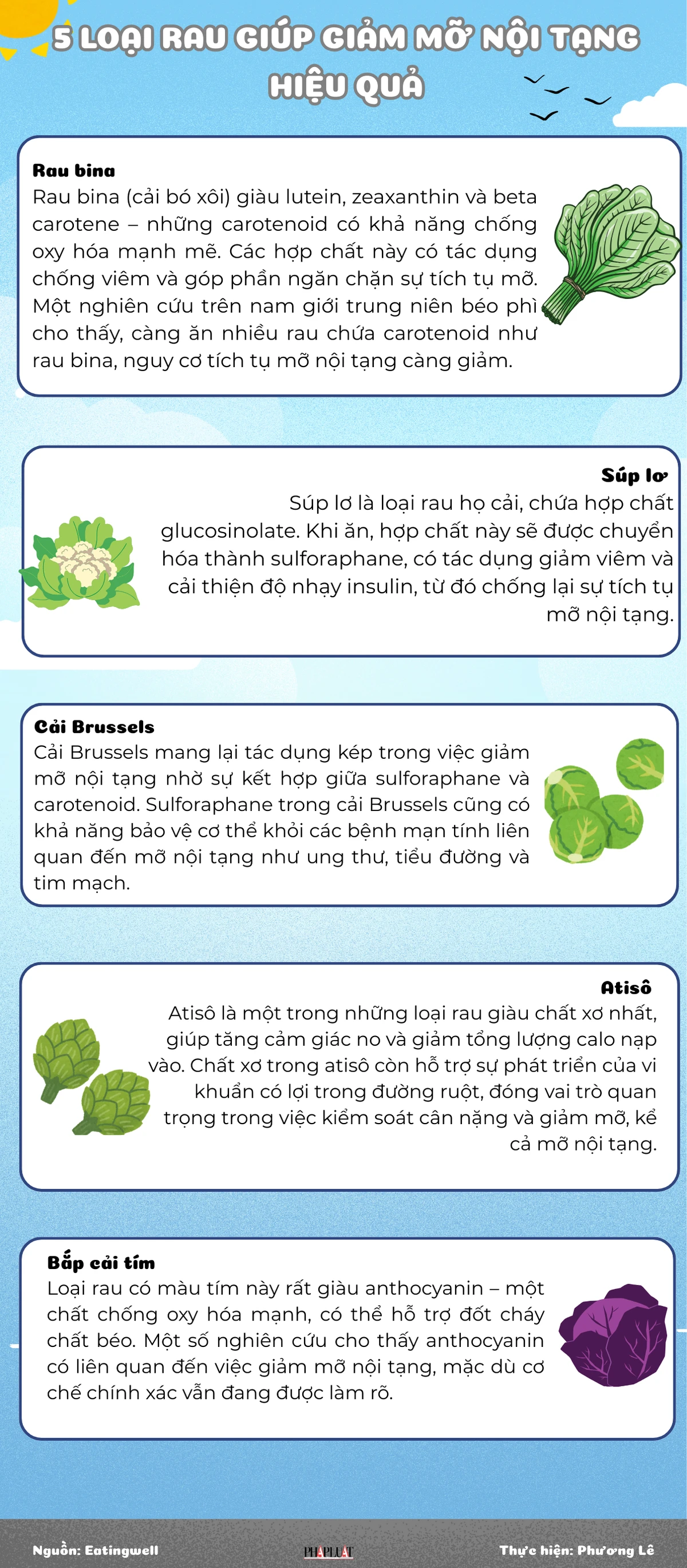 5 loại rau giúp giảm mỡ nội tạng hiệu quả.png
