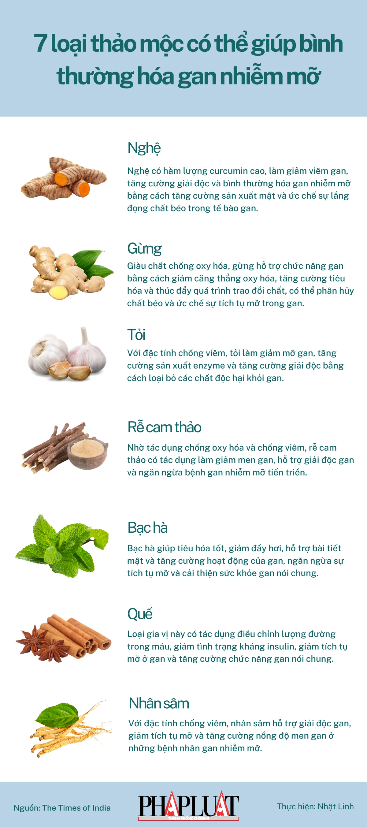 7 loại thảo mộc có thể giúp bình thường hóa gan nhiễm mỡ