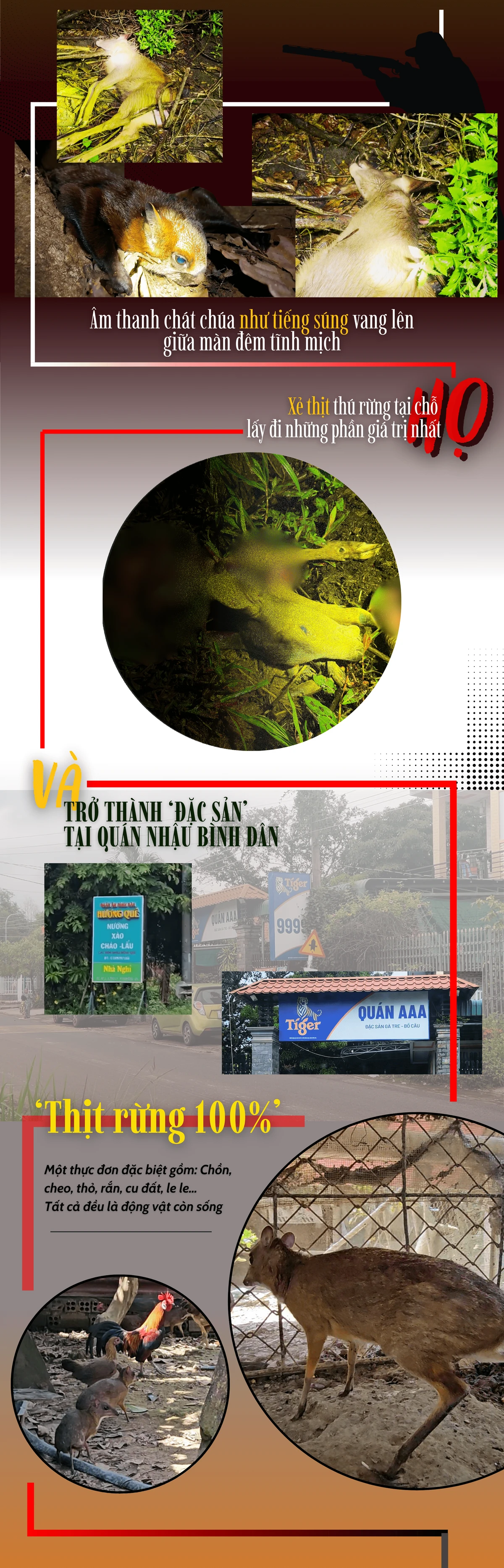 infographic-dong-vat-trong-sach-do-va-cam-ket-tu-quan-nhau-100-thu-rung-con-song-3-min.png