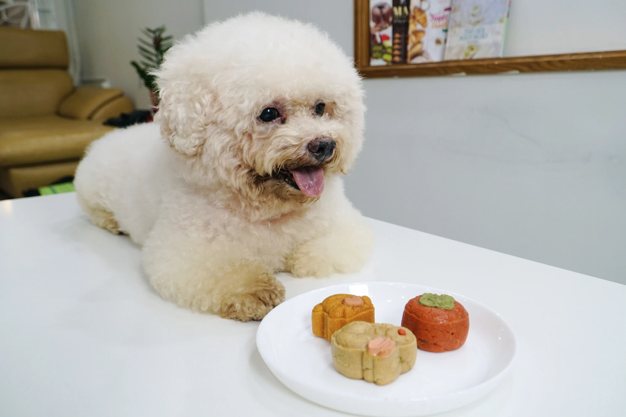 Để tạo nên những chiếc bánh thành công, nhóm bạn trẻ đã mất gần một năm để nghiên cứu công thức, chọn lựa các nguyên liệu phù hợp với khẩu vị dành cho thú cưng. Riêng với bánh trung thu, cả nhóm đã thử nghiệm 2 tháng để tìm ra công thức bánh hoàn chỉnh. Ảnh 2.jpg