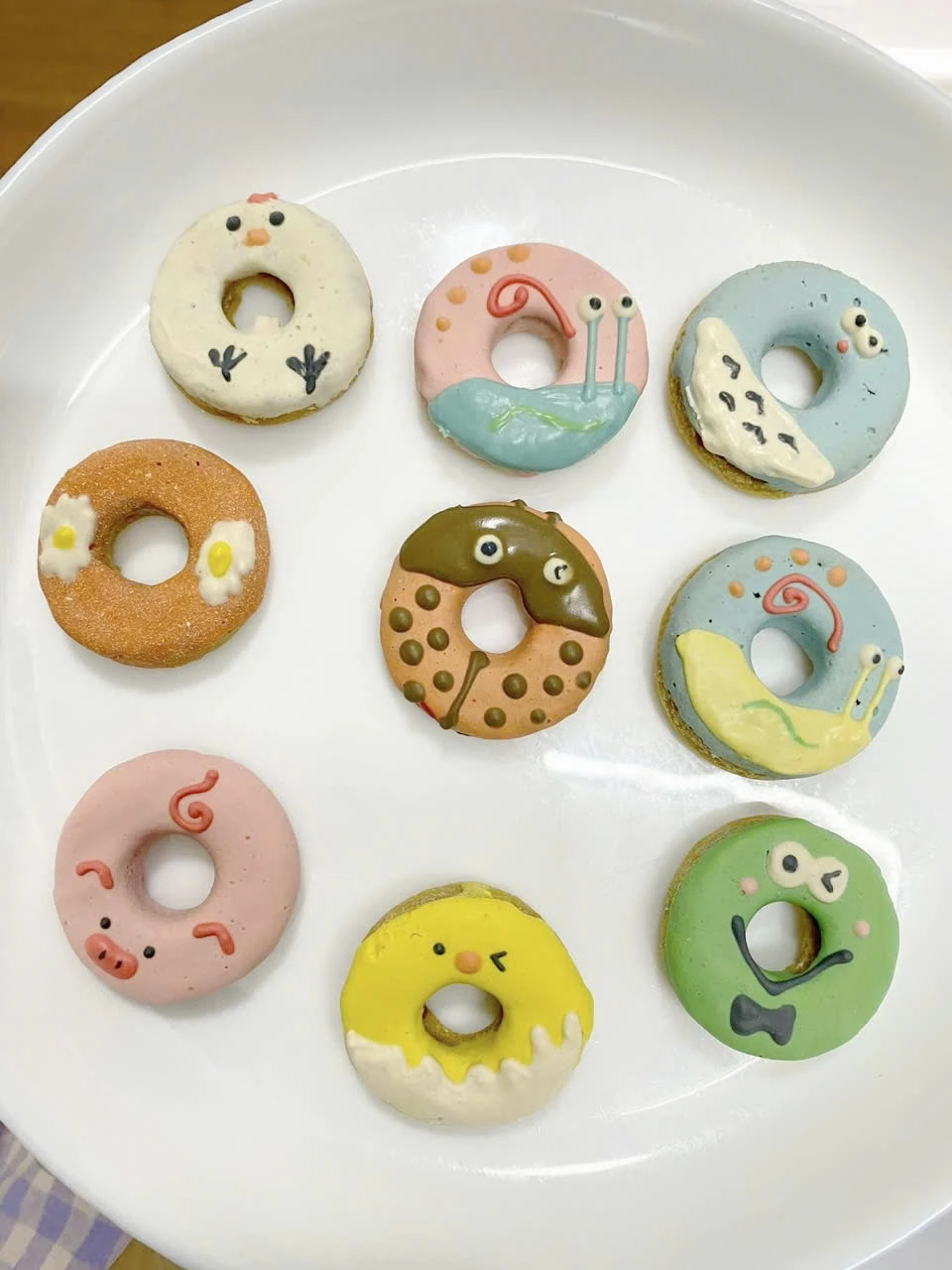 Những chiếc bánh donut nhỏ xinh với đủ màu sắc dành cho các bé chó. IMG_2429.jpg