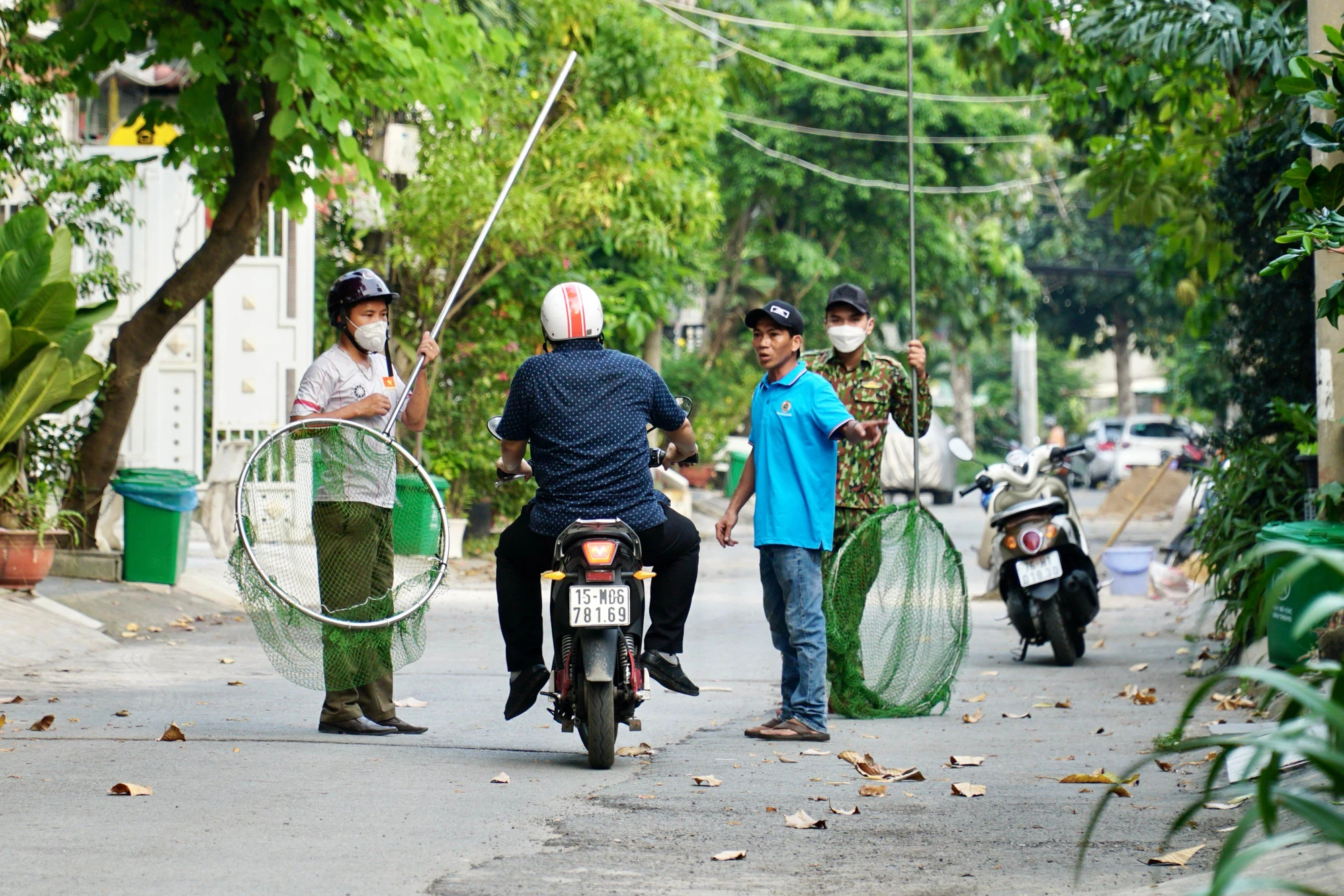 Khi đi mang theo đầy đủ dụng cụ như vợt bắt, lồng, mã số để đánh dấu số. Có lãnh đạo phường đi theo trực tiếp chỉ huy. Ảnh: HUỲNH THƠ