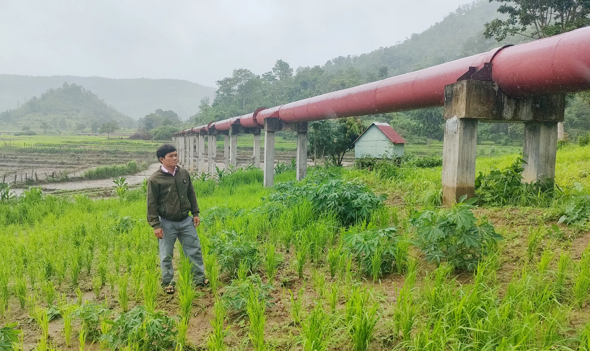 Ông Siu Blí, Phó Bí thư Đảng ủy xã Ayun, nói công trình thủy lợi Pleikeo là chìa khóa giúp bà con xã Ayun thoát nghèo. Ảnh; LK. Tổng Bí Thư Nguyễn Phú Trọng trao quà ý nghĩa giúp nhân dân xã Ayun thoát nghèo