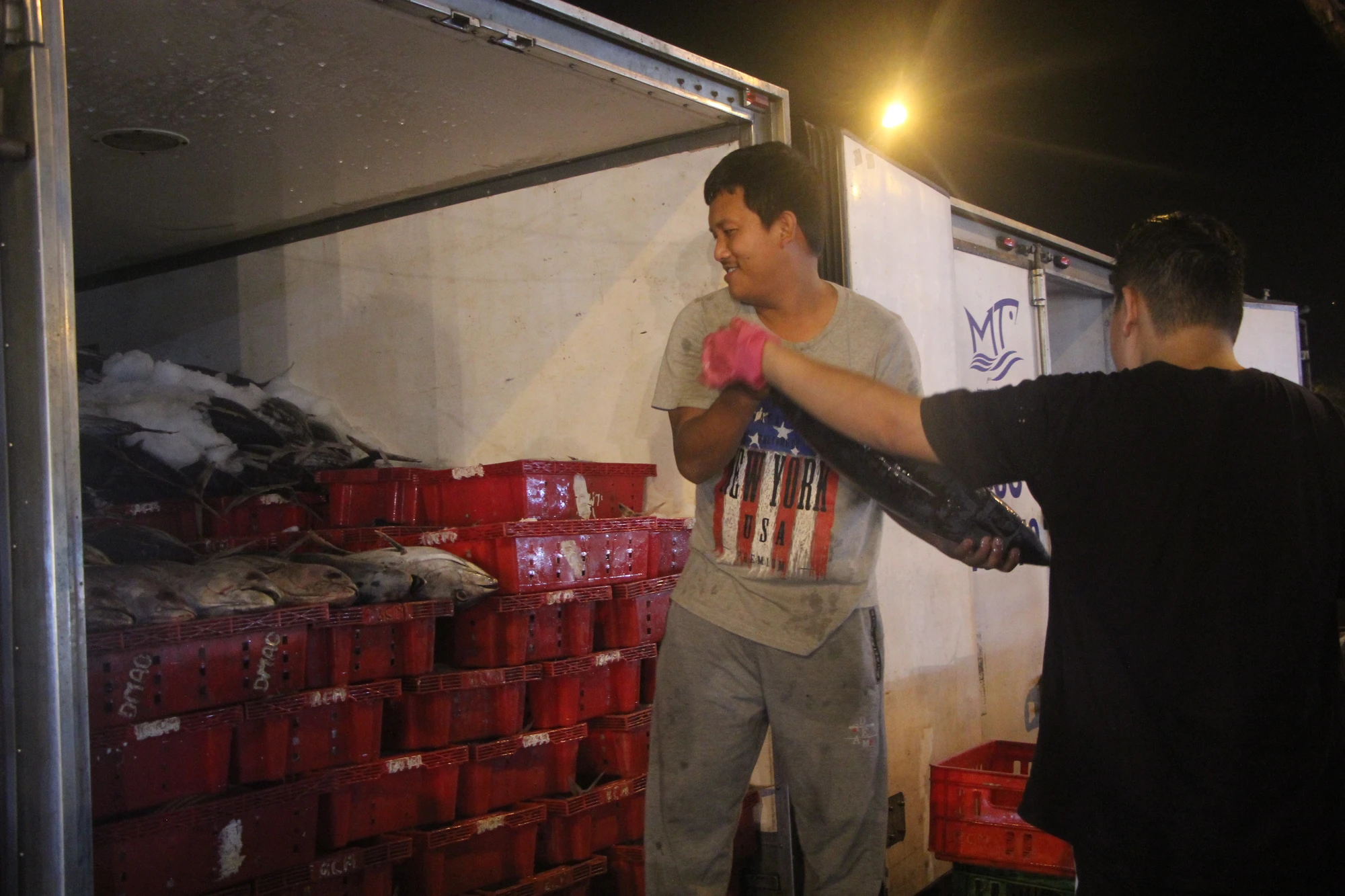 Các chuyến xe đông lạnh chất đầy cá. Ảnh: NGÔ QUANG.