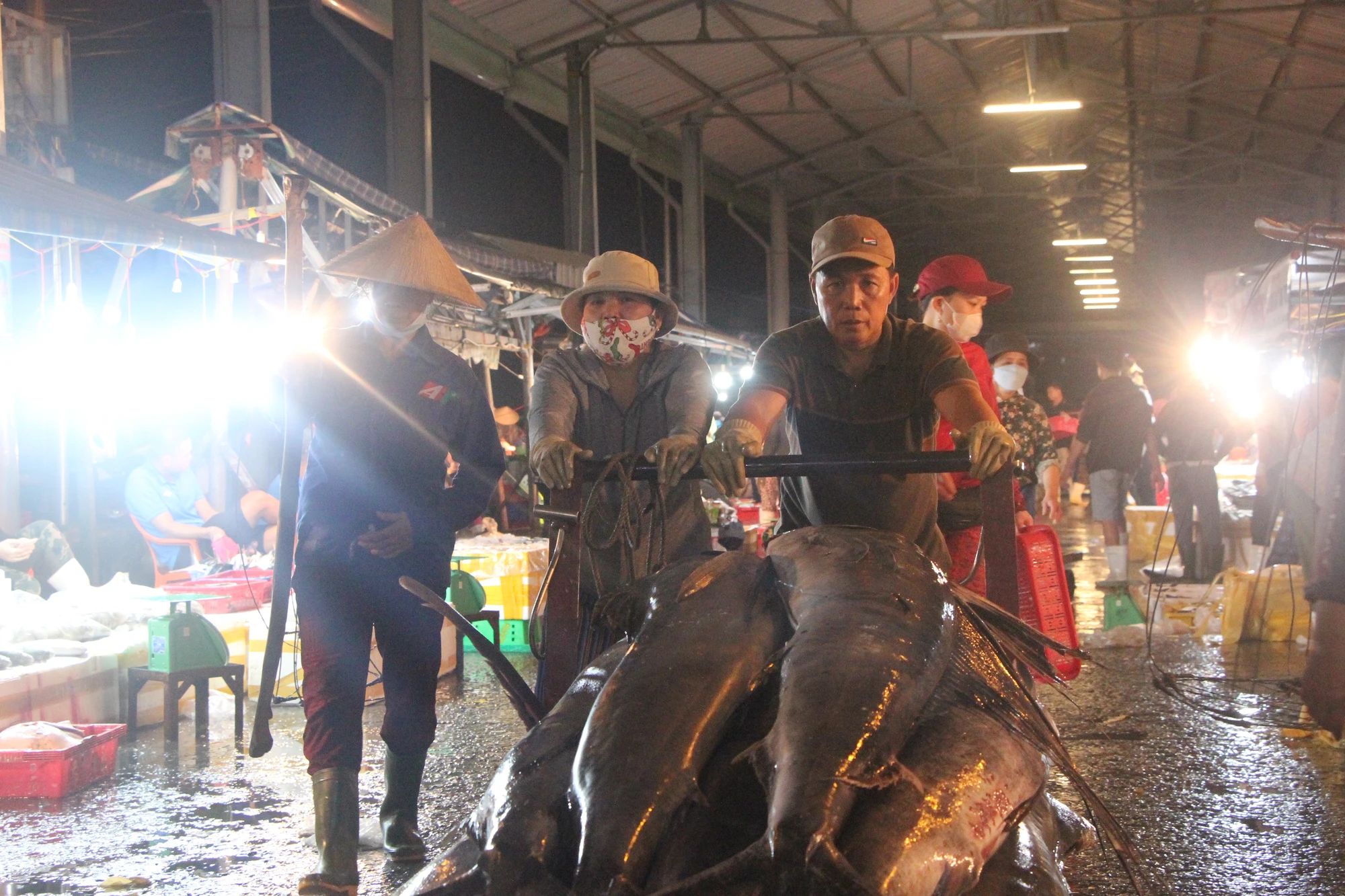 Dù vậy, một số thương lái cho biết, trong 2 năm trở lại đây lượng tiêu thụ hải sản giảm rõ rệt. Ảnh: NGÔ QUANG.