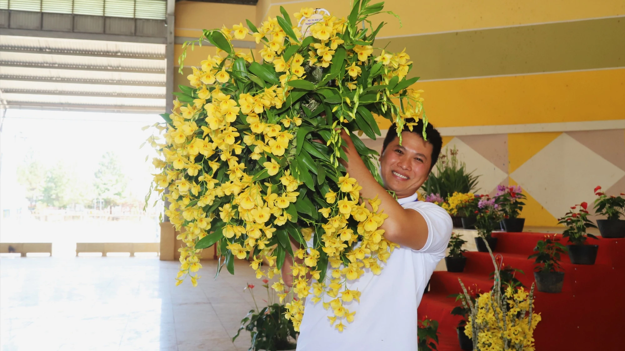 Kim điệp mắt đỏ của chủ vườn lan Bông Nguyễn đạt giải đặc biệt hội thi. Ảnh: VT Kim điệp mắt đỏ đạt giải đặc biệt Hội thi hoa lan TP Bảo Lộc