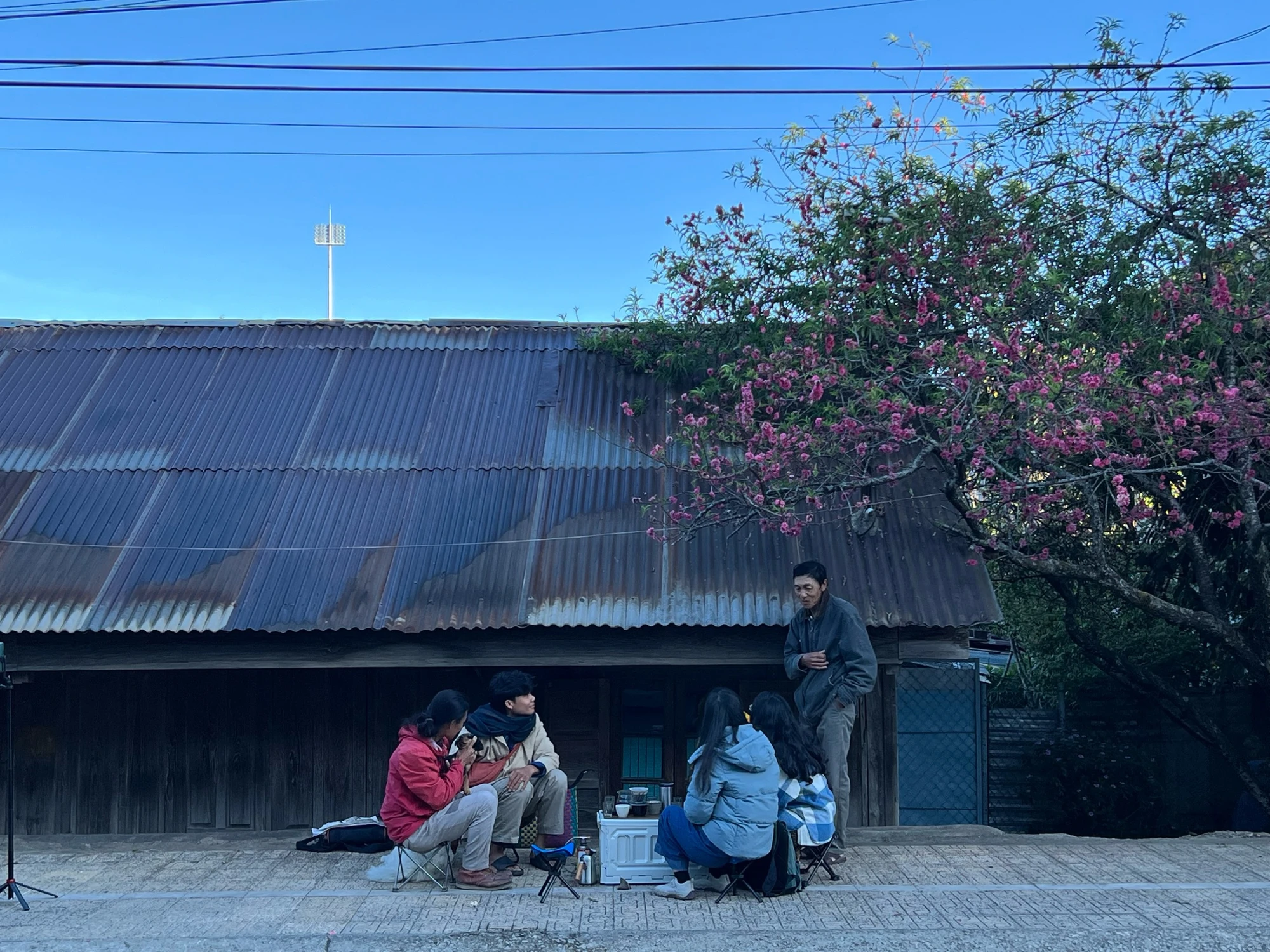 Nhiều bạn trẻ có mặt từ rất sớm để check-in "cây đào quốc dân" da-lat-333.JPG